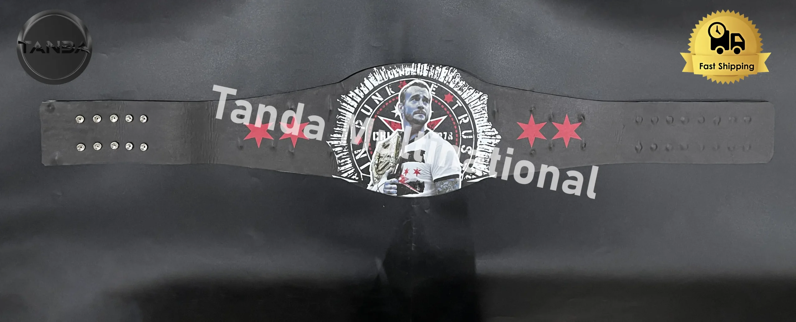 CM Punk 434 Days Spinner Signature Series WWE Championship Belt