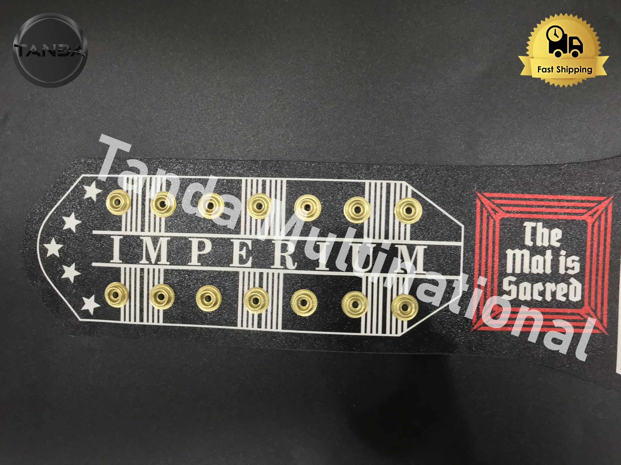 Gunther 666 Days Intercontinental WWE Championship Belt Wrestling Title 2mm Brass