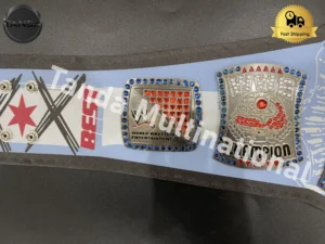 CM Punk 434 Days Spinner Signature Series WWE Championship Belt