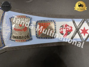 CM Punk 434 Days Spinner Signature Series WWE Championship Belt